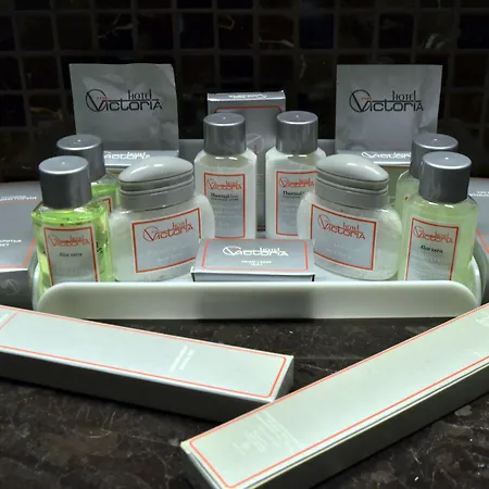 호텔 Victoria & 4*